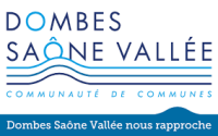 CCDSV